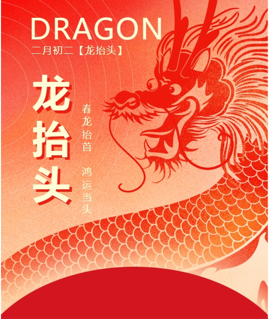 二月二龍?zhí)ь^，春龍振翅鴻運(yùn)啟 —— 佳木斯網(wǎng)云信息科技有限公司與您共迎新春盛景